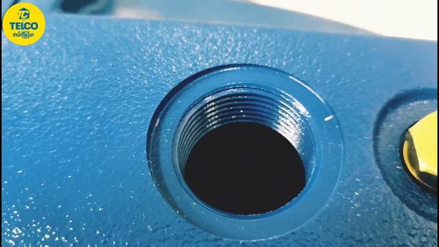 PEDROLLO JSWm 3CM 1.5hp (Jet Pump) смотреть онлайн