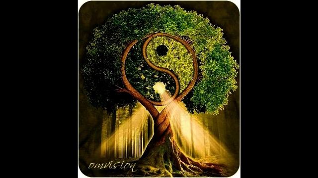 Что такое контраст в жизни и психологии смотреть онлайн