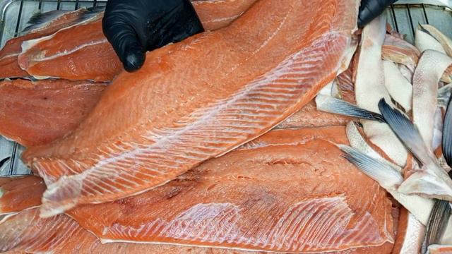 Путешествия на кораблях 