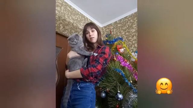 304 группа поздравляет с Днем студентов смотреть онлайн