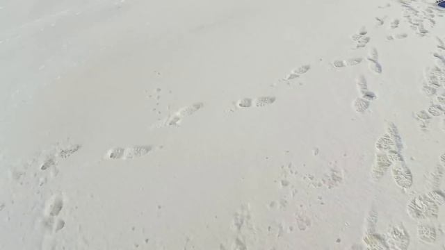 ОКУНЬ НАЧАЛ ШЕВЕЛИТЬСЯ! Рыбалка 2020, ловля окуня на чертик и безмотылку смотреть онлайн