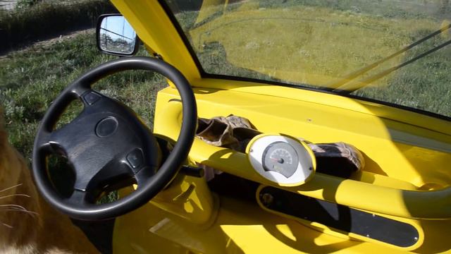 СЛИШКОМ ОБЩИТЕЛЬНАЯ ЛЬВИЦА !!! Тайган .Крым . смотреть онлайн