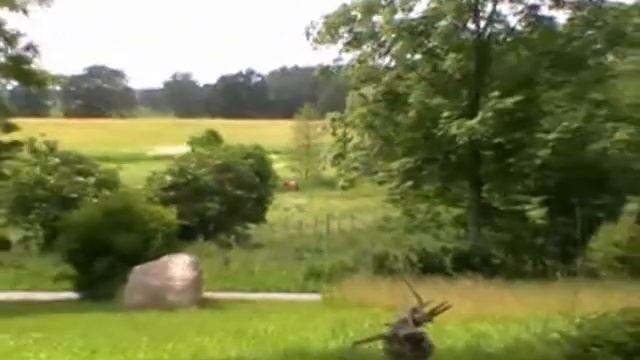 Panasonic SDR-H90 mit 70x optischen Zoom смотреть онлайн