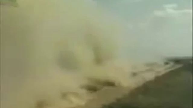Морская пехота