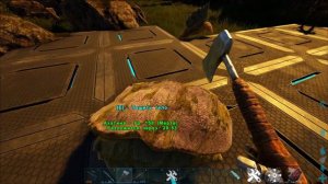 Ахатина (Achatina) в АРК.  Лучший обзор: приручение, разведение и  способности в ark.