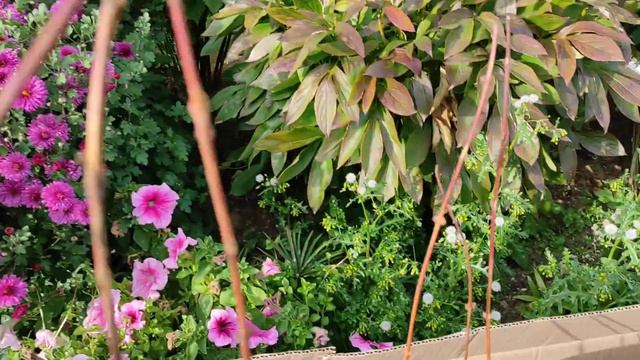 заказ в фирме агро-маркет 24