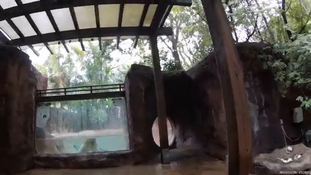 Майами зоопарк 2023-2024 смотреть онлайн