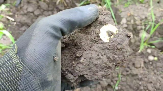 # 6 Находки Minelab CTX 3030 в жилой деревне. смотреть онлайн