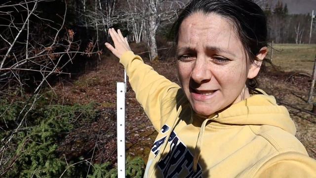Electric Fence Installation: A Budget Perimeter Fence смотреть онлайн