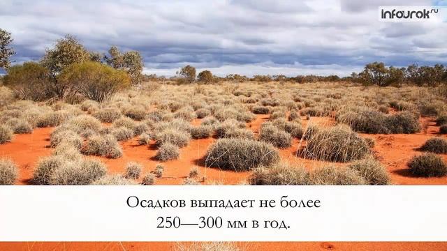 Компоненты природы Австралии | География 7 класс #29 | Инфоурок смотреть онлайн