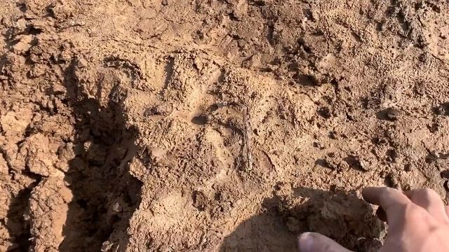 Нашли серебряный крест в Вербное воскресенье! Лучшая находка сезона! Тур от Серого Копателя. Тула 2 смотреть онлайн