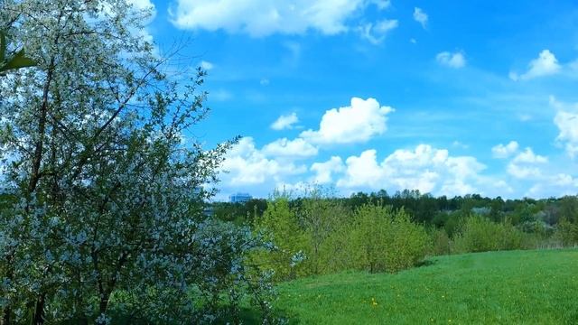 Кроме ощущения весны. Стихи смотреть онлайн