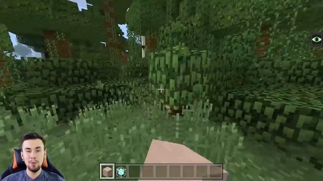 ИНСТРУКЦИЯ КАК ЗАЙТИ НА СЕРВЕР В МАЙНКРАФТ ПЕ БЕСПЛАТНО СО СВОЕГО ТЕЛЕФОНА ОБУЧЕНИЕ MINECRAFT смотреть онлайн