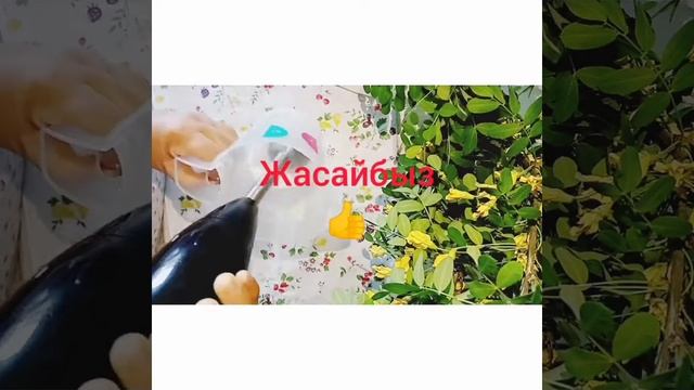 #Сахарный#пудра#домашным#условиях#как#делают Сахарный пудра Как сделают сахарный пудру за 5 секунд. смотреть онлайн