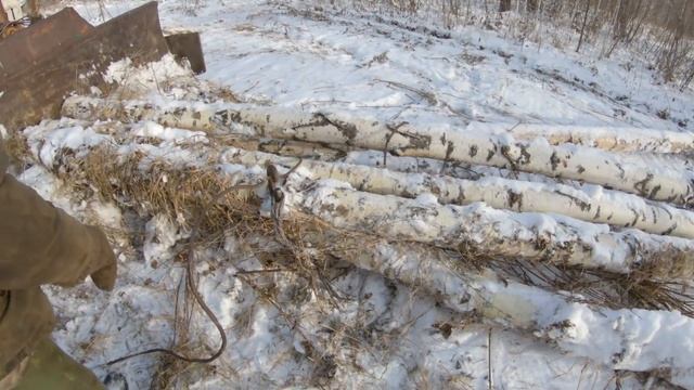 ДТ 75 ВСЁ ЕЩЁ В СТРОЮ. Вывоз дров из леса. смотреть онлайн