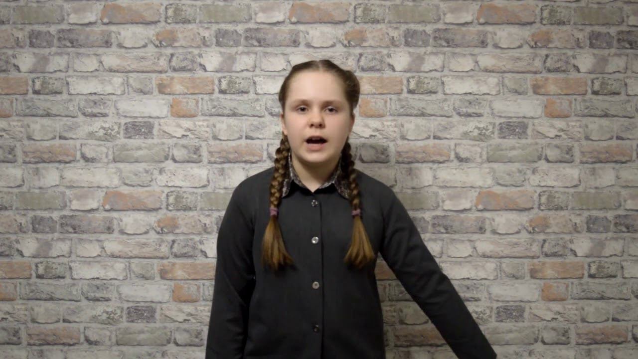 #стихиремарк читает Анисимкина Анна, авторское стихотворение "Собачье сердце" смотреть онлайн