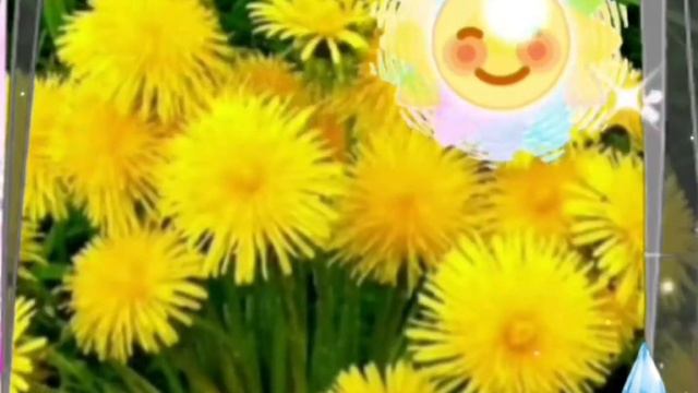 🎈#26сентября С Добрым утром, удачного дня. Красивая музыкальная пожелание с добрым утром. смотреть онлайн