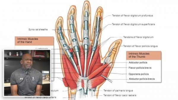 Devon Larratt Is BUILT DIFFERENT | Surgeon Explains World Champion Arm Wrestler