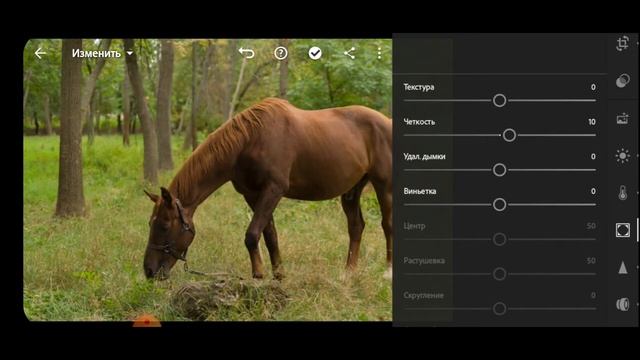 Этот ТРЮК сделает ТВОИ фотографии более РЕЗКИМИ! Типичная ошибка всех новичков смотреть онлайн