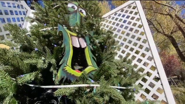 Zevely Zone takes first look ever at Pine Valley Camp Christmas смотреть онлайн