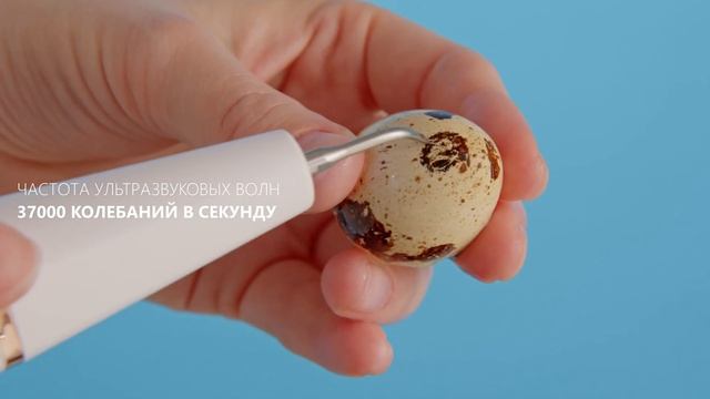 Скалер ультразвуковой AsiaCare - сэкономит на походах к стоматологу смотреть онлайн