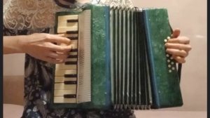 Аккордеон малыш.