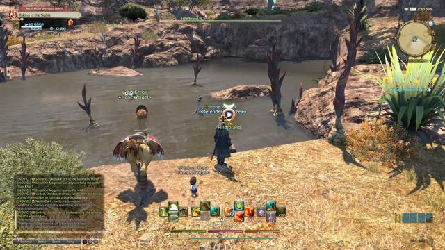 FFXIV ARR : Lv50 The Immaculate Deception - Walkthrough смотреть онлайн