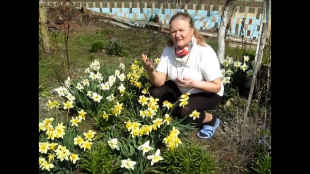 С 1 апреля Вас !