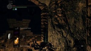 Как и где найти Костёр в Крепости Сена? Dark Souls: Remastered