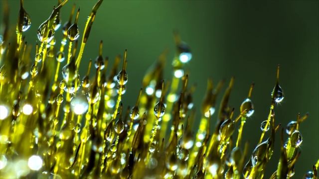 5 вещей, которых НЕ ДЕЛАЮТ хорошие жены