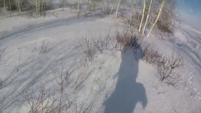 Охота на зайца и лису с гончими и дратхаарами. смотреть онлайн