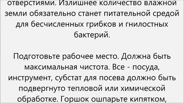Как вырастить кактус смотреть онлайн