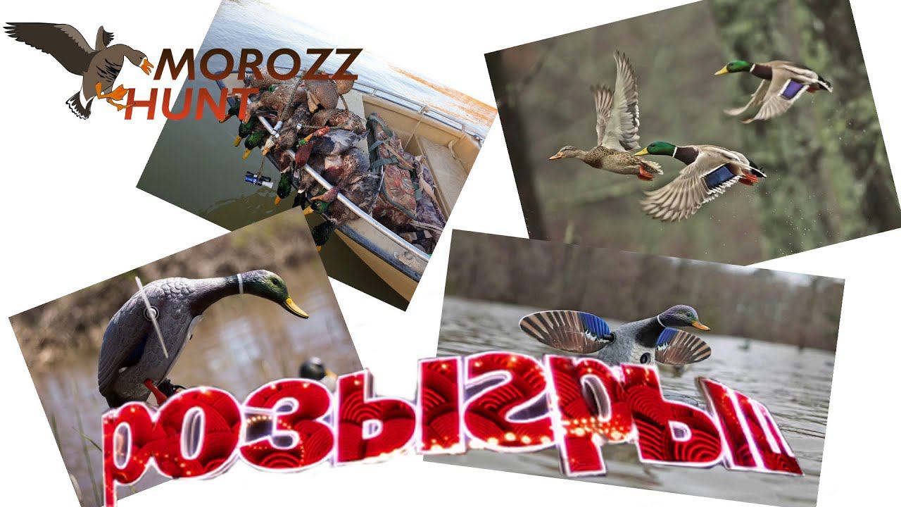 Особенности использования механических приманок на утку - махокрылов.