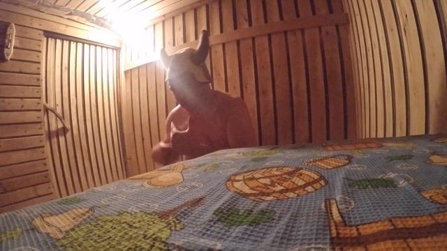 2 Выходнои у таксиста. Баня. Водитель забыл пассажираStasOnOff