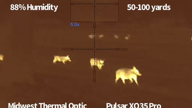 Pulsar Thermion 2 XQ35 Pro @PulsarNV @midwestthermaloptics смотреть онлайн