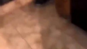 кот в блендере