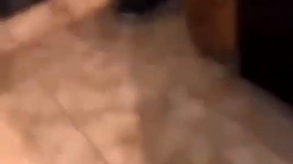 кот в блендере