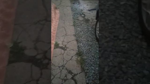 Рено Еспейс 3 смотреть онлайн