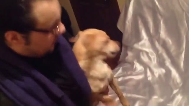 Изгнание демона из собаки. ЭКЗОРЦИЗМ! DOG EXORCISM! (English subtitles) смотреть онлайн