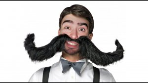 Стрей Осуждает №50 / Стрей Щекочет Усиками