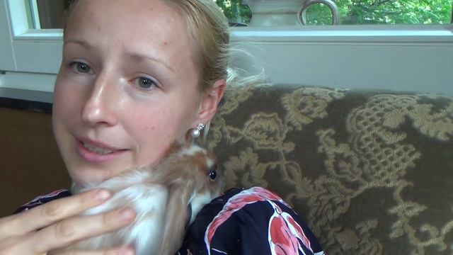 Знакомьтесь кролик Лизун! Залижет до упаду :) смотреть онлайн