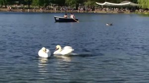 LONDON PARKS: Hyde Park