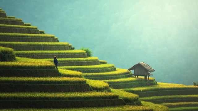 Звуки природы, Пение птиц, Успокоение нервов, Фортепиано | Sounds of nature, Birdsong, Piano. смотреть онлайн
