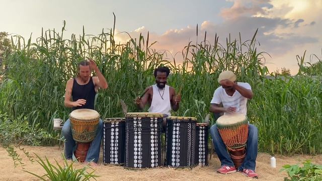 Djembe Drumming - Meendjaani смотреть онлайн