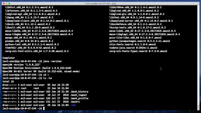 Install JAVA & Set Environment Variable on Amazon Linux - EC2 смотреть онлайн