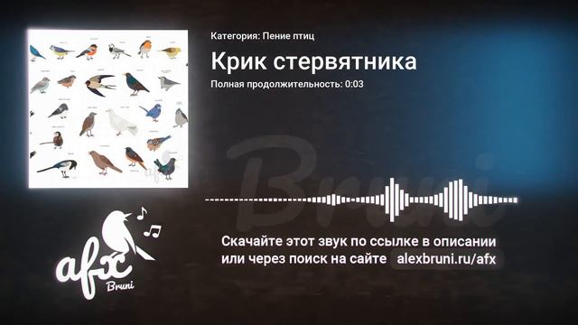 Звук: Крик стервятника смотреть онлайн