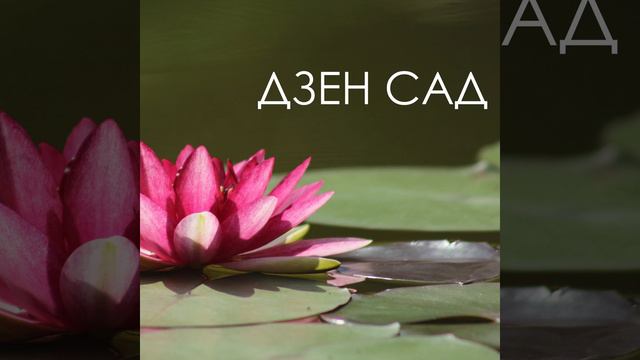 Японская музыка смотреть онлайн