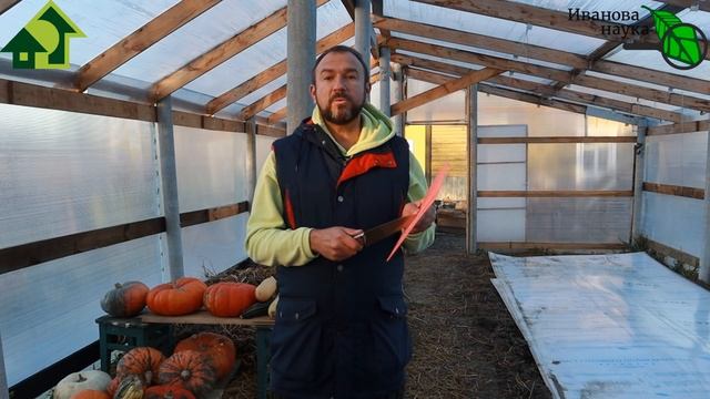 ЗЛЫЕ ВЕЩИ НА ВАШЕЙ КУХНЕ! Уберите ЭТО с кухни НЕМЕДЛЕННО и сохраните свое здоровье! смотреть онлайн