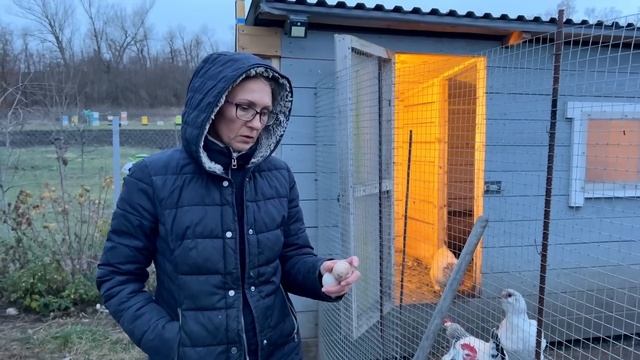 #609 Жизнь на хуторе в декабре. Пора пахать огород? смотреть онлайн