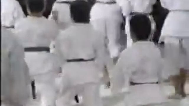 Фестиваль Каратэ и Кобудо 沖縄空手道古武道 祭 Karate Kobudo Festival смотреть онлайн